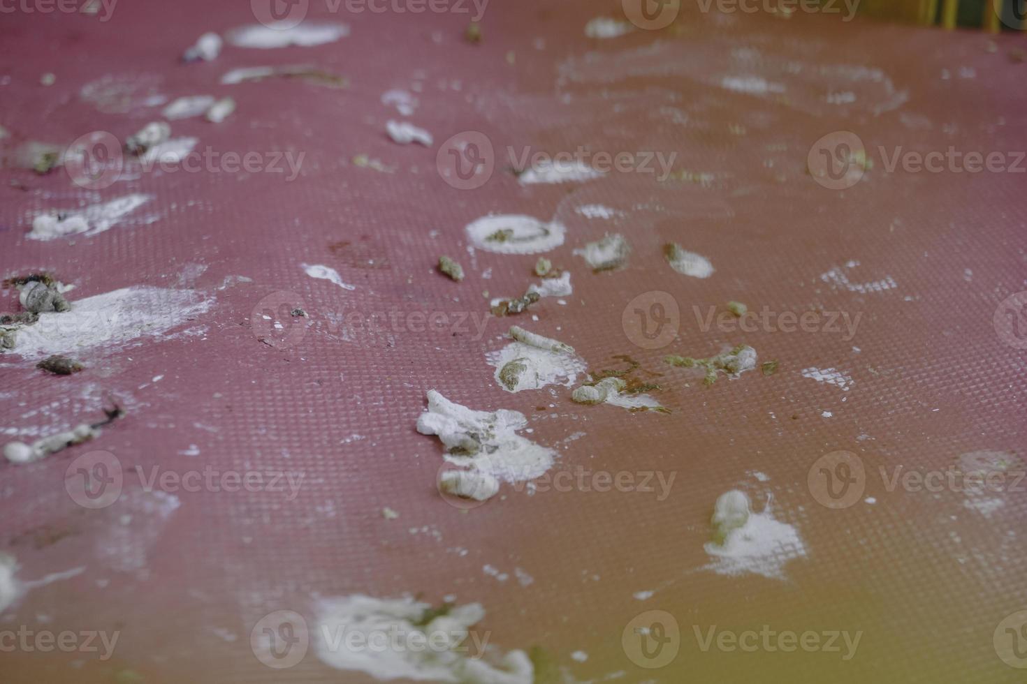 Top view. Dried bird poops on a floor. Dirty and can transmit diseases harmful to humans photo