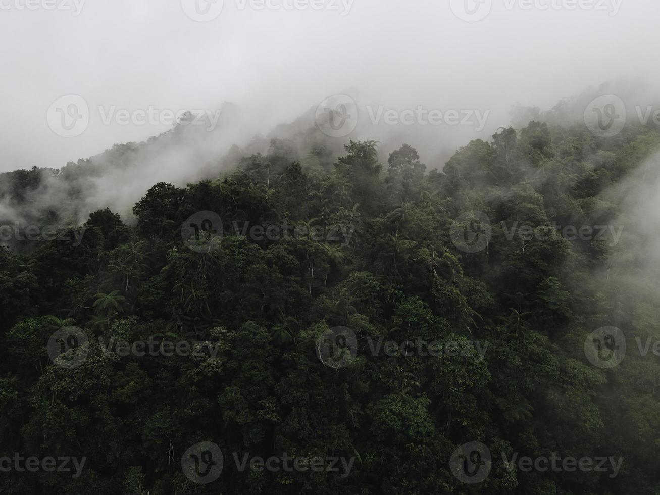 Aerial view of foggy forest landscape in Indonesia at sunrise. photo