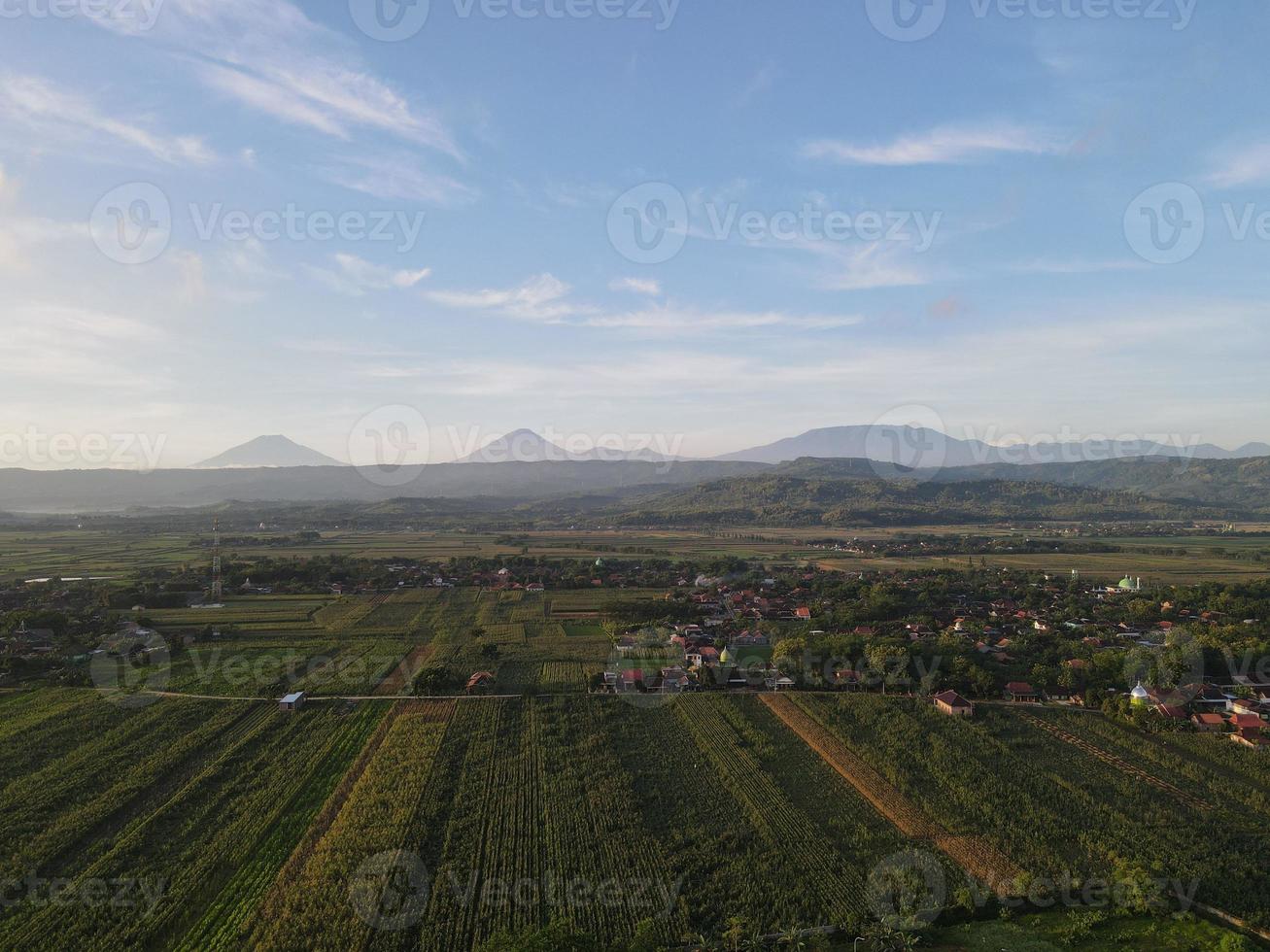 Aerial view of rice field with road in Yogyakarta, Indonesia photo