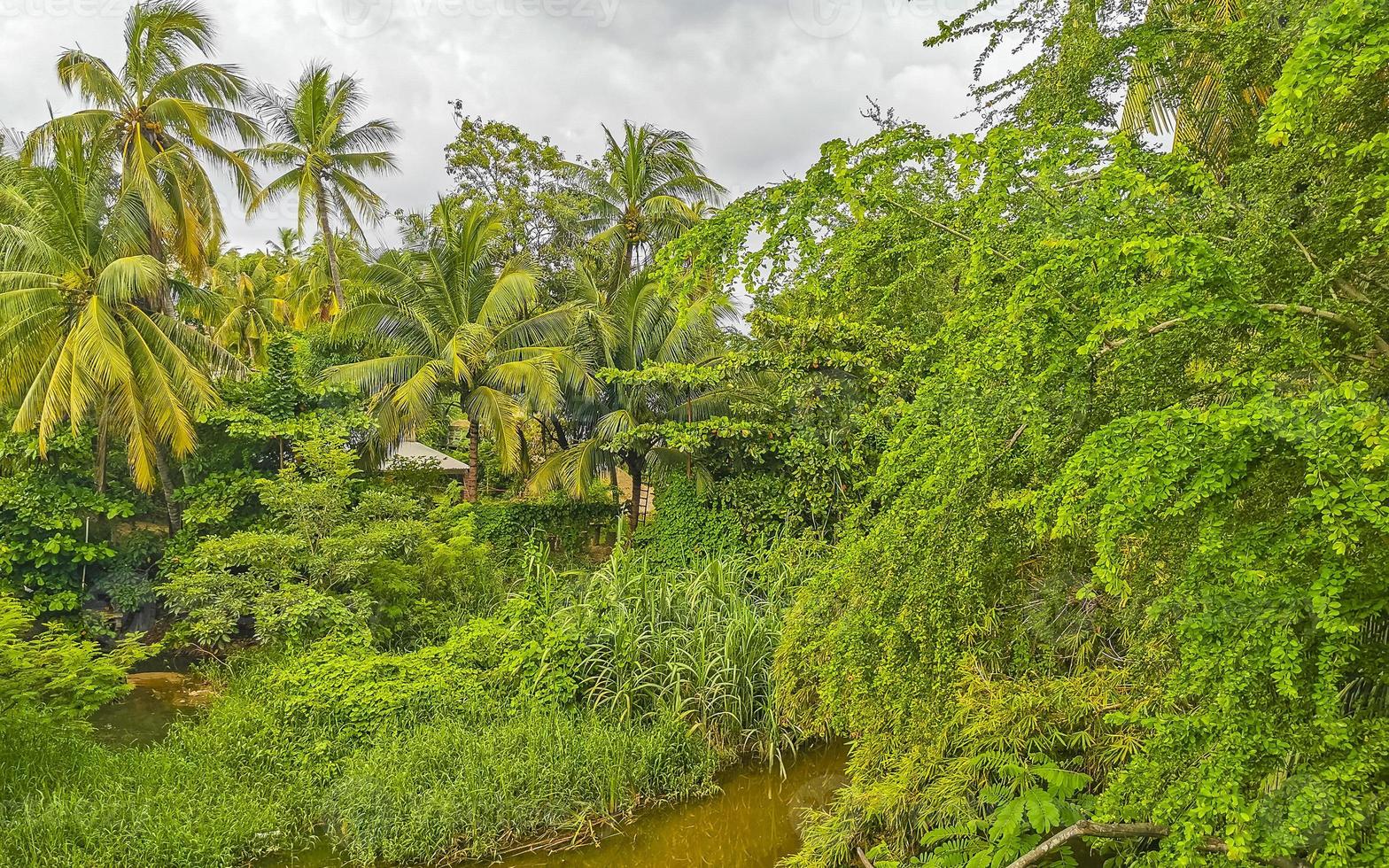 laguna de agua dulce de río tropical hermosa verde en puerto escondido méxico. foto