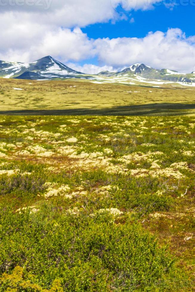 hermosa montaña y paisaje naturaleza panorama rondane parque nacional noruega. foto