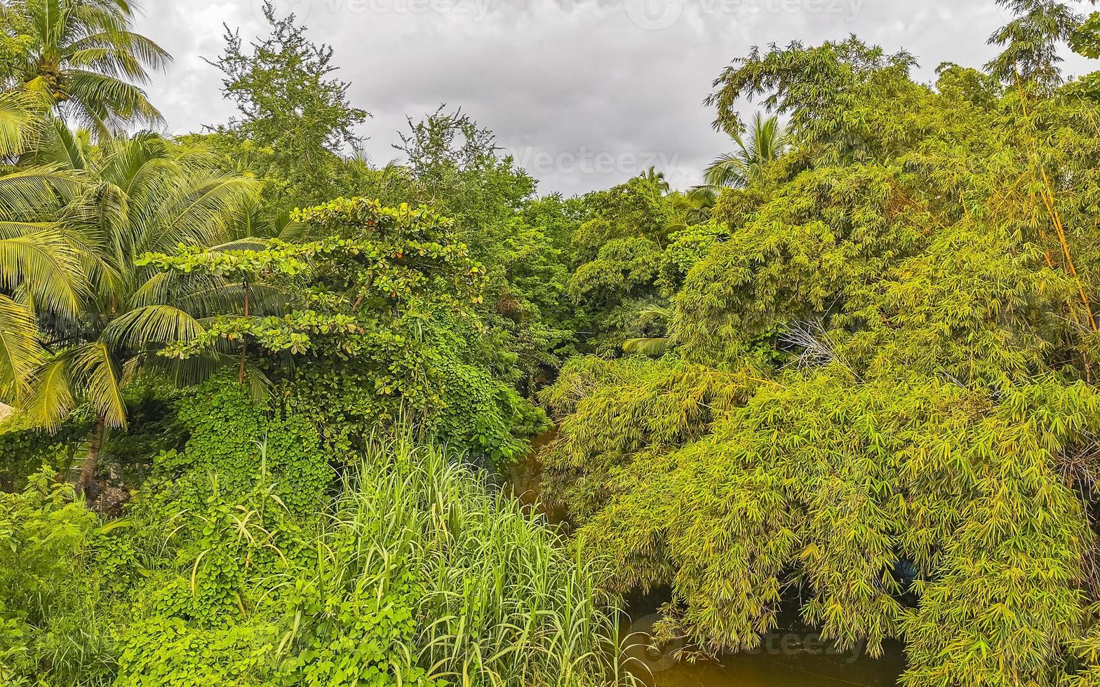 Green beautiful tropical river Freshwater Lagoon in Puerto Escondido Mexico. photo