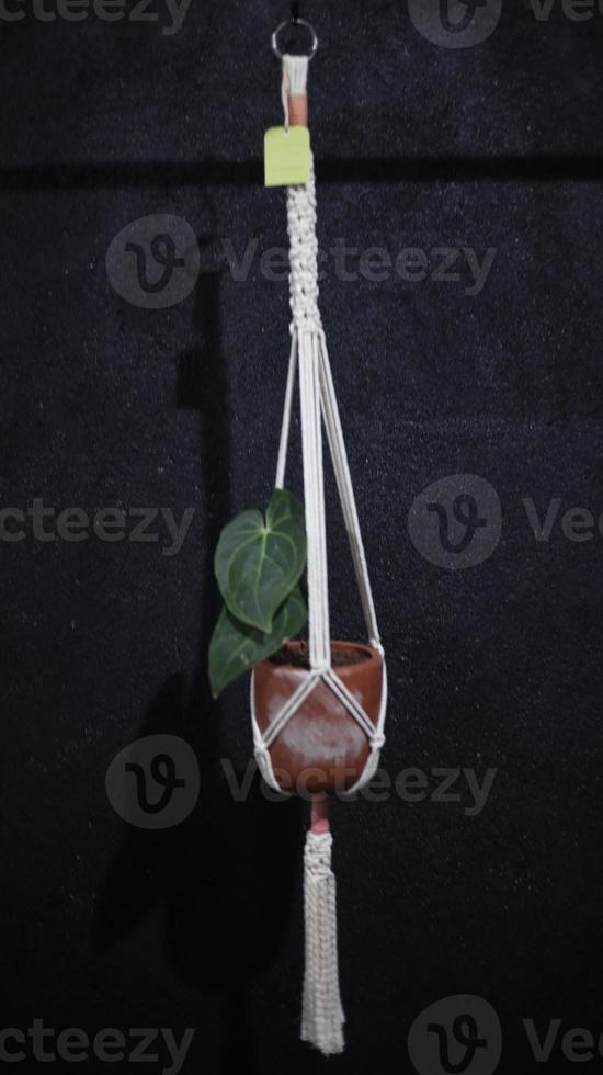 macrame with a plant on the aesthetic wall photo