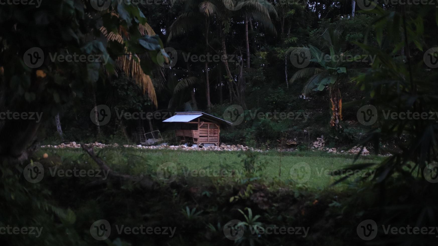 Hut in the forest, Indonesia photo