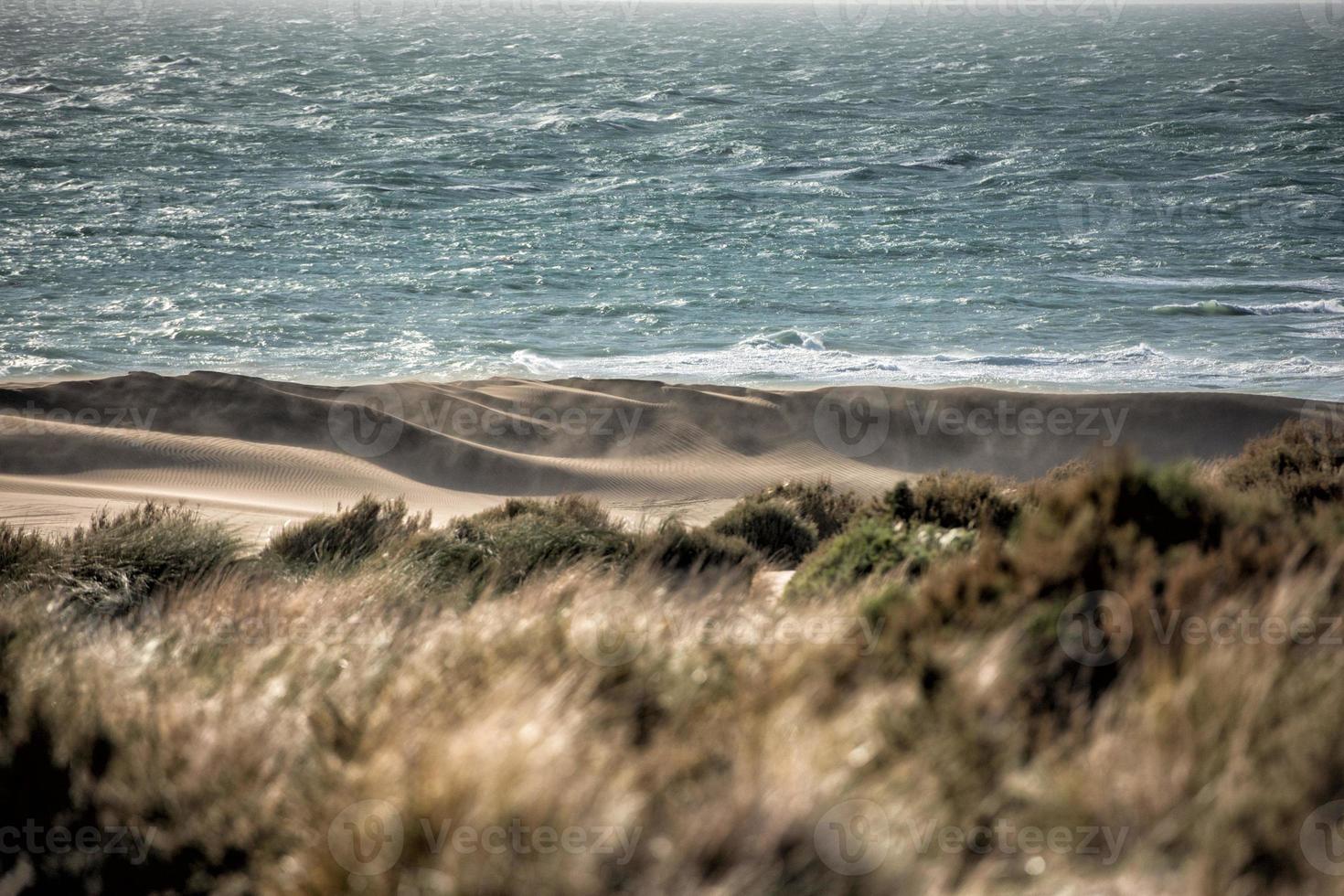 atlantic ocean waves in Patagonia photo