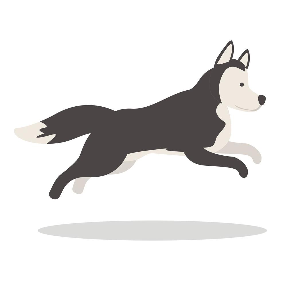 vector de dibujos animados de icono husky corriendo. perro siberiano