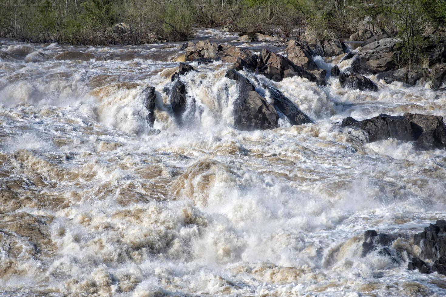 grandes cataratas de washington foto