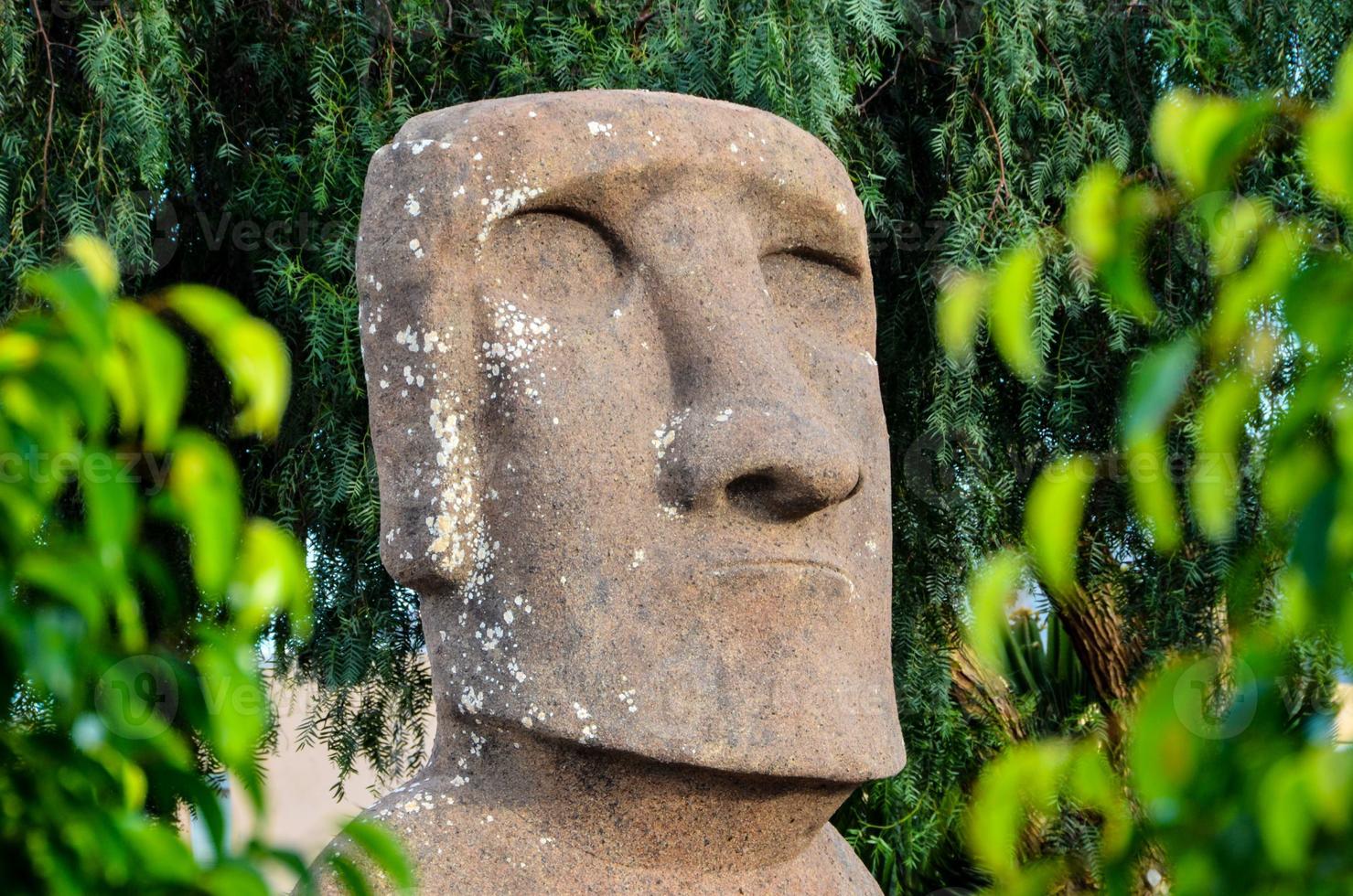 Stone moai style bust photo