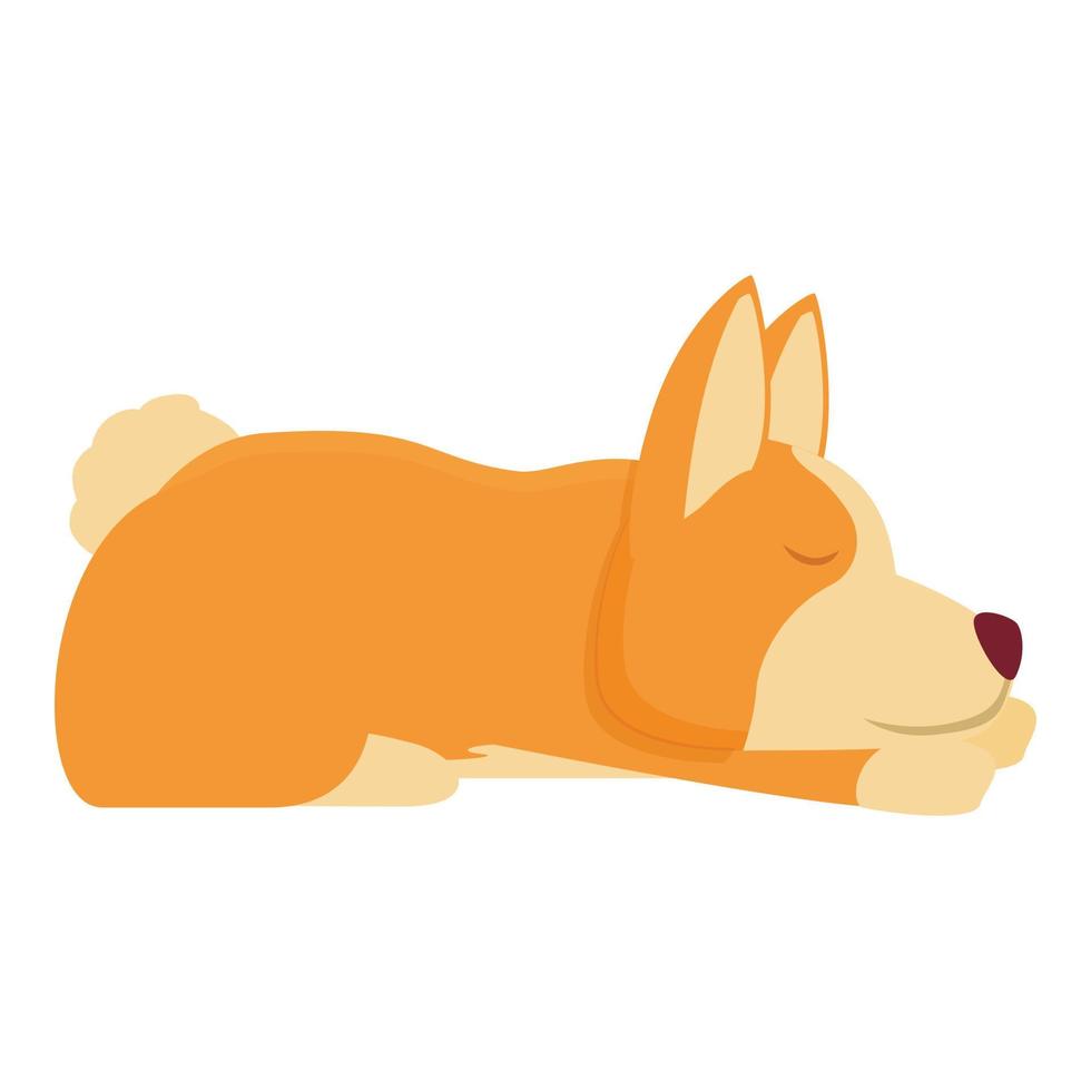 vector de dibujos animados de icono de corgi dormido. canino real