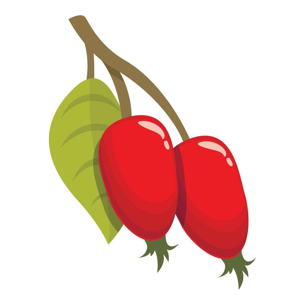 Ripe rosehip icon cartoon vector. Berry food vector