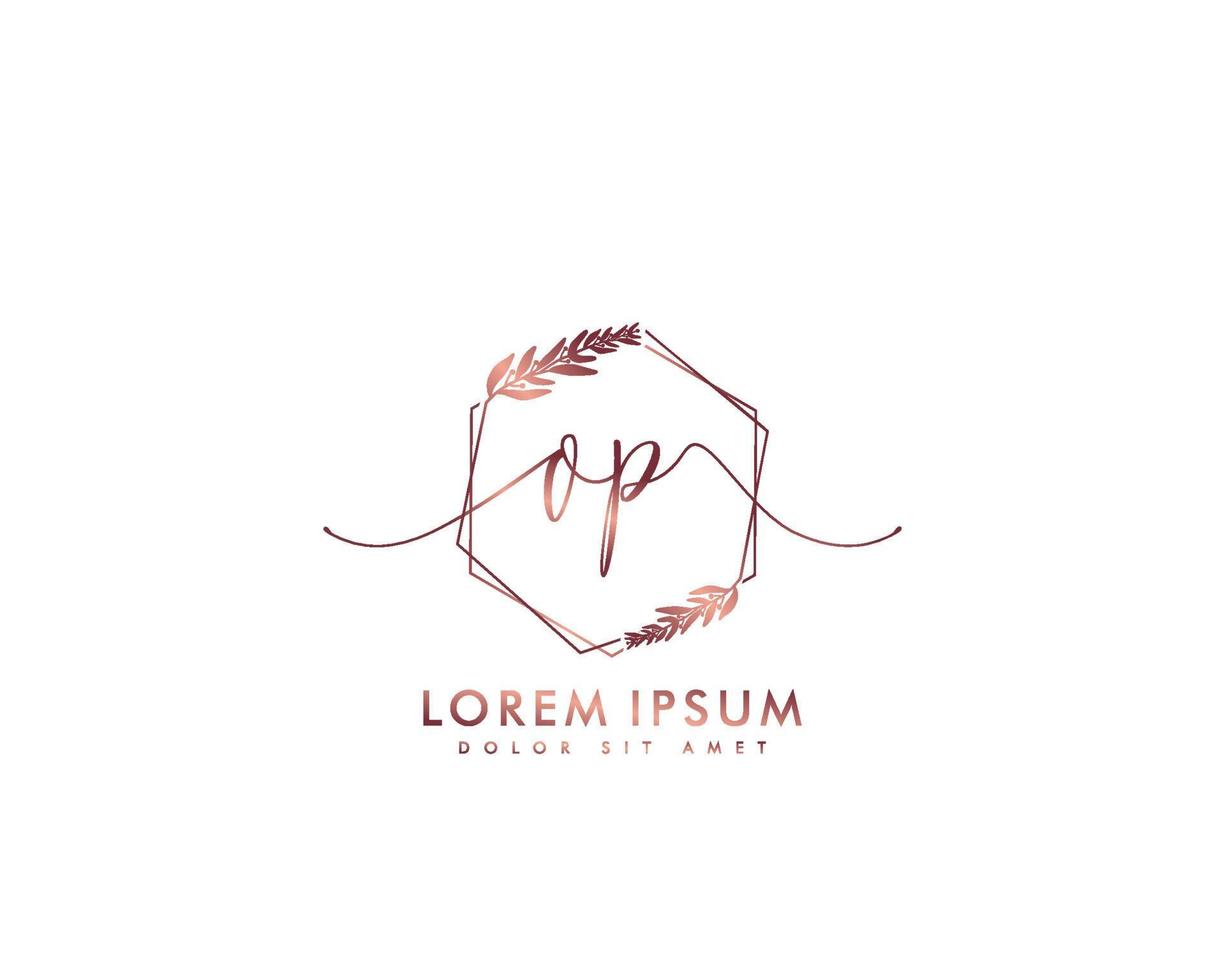 Initial letter OP Feminine logo beauty monogram and elegant logo design, handwriting logo of initial signature, wedding, fashion, floral and botanical with creative template vector