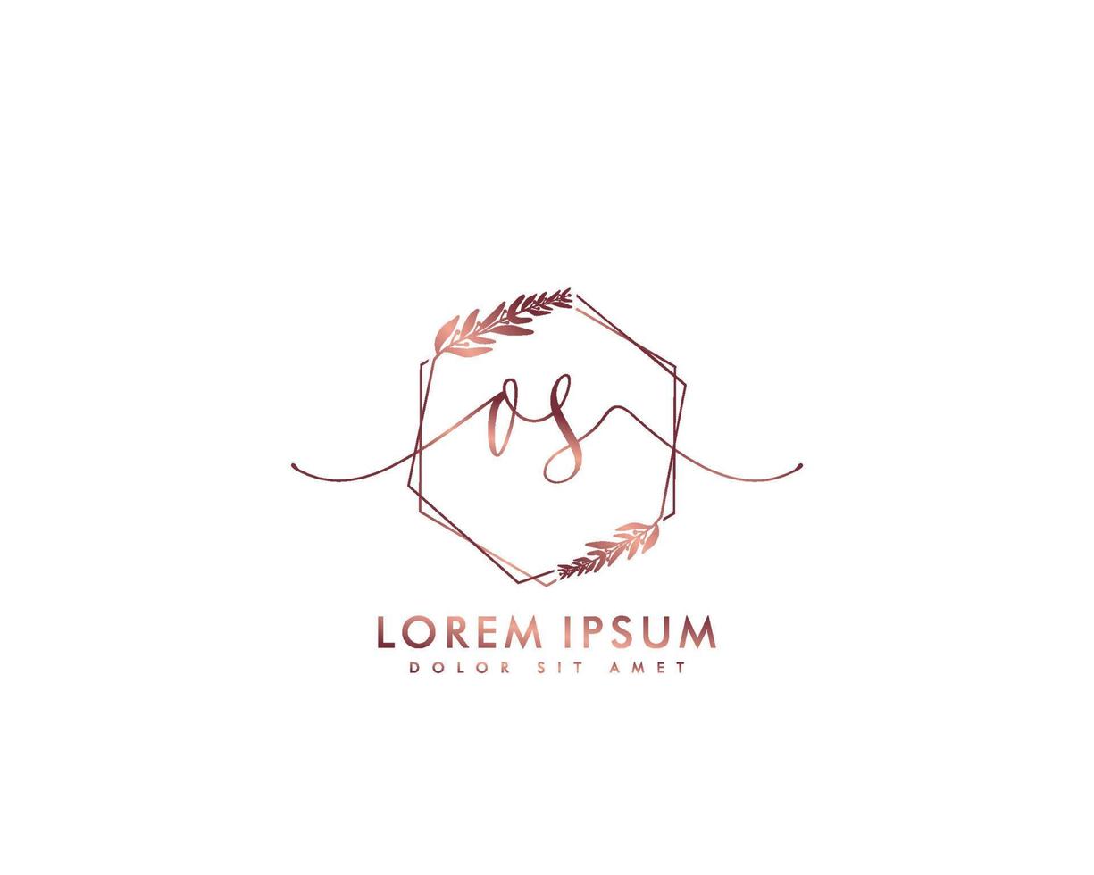 Initial letter OS Feminine logo beauty monogram and elegant logo design, handwriting logo of initial signature, wedding, fashion, floral and botanical with creative template vector