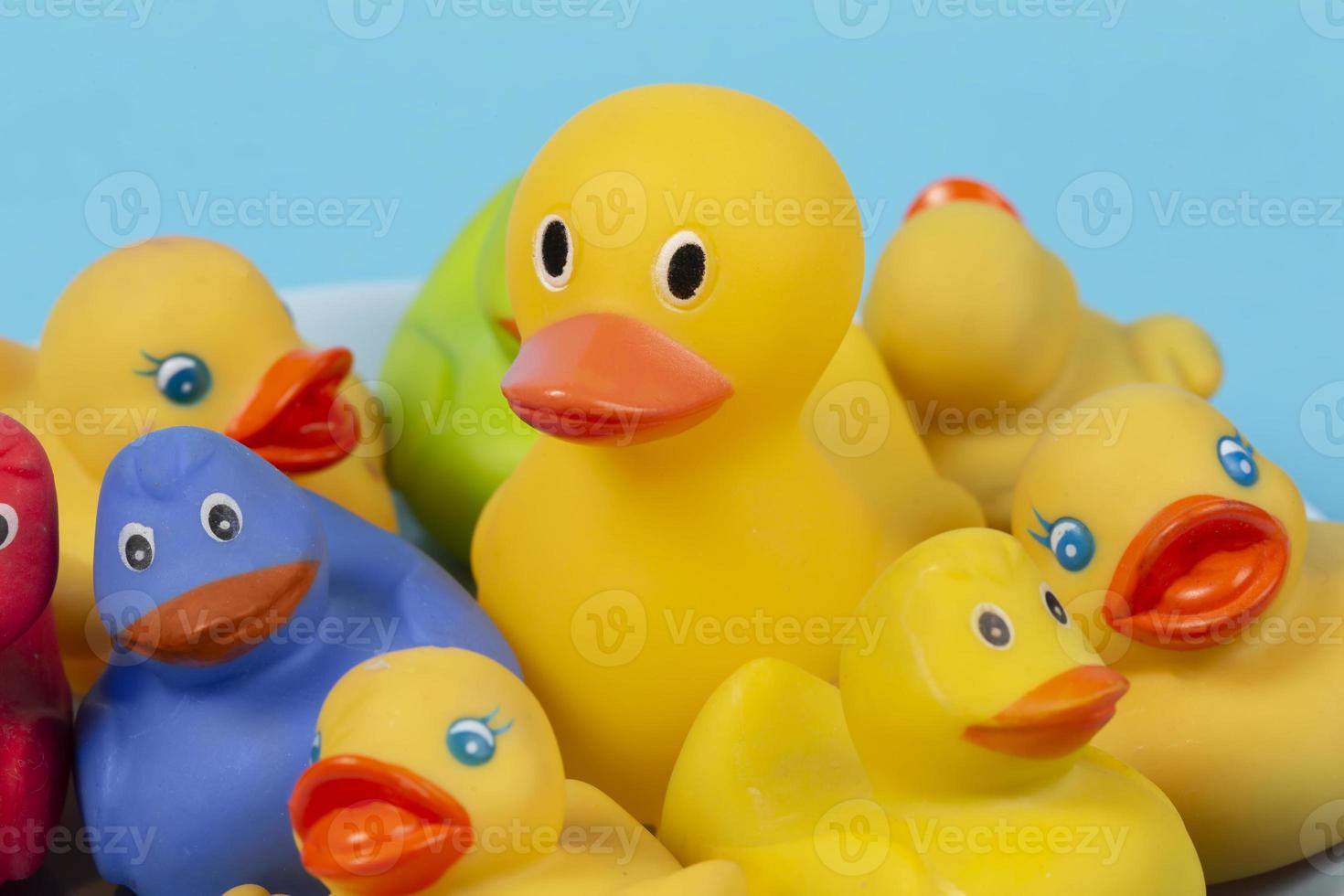 Multi-colored rubber ducks on a blue background. photo