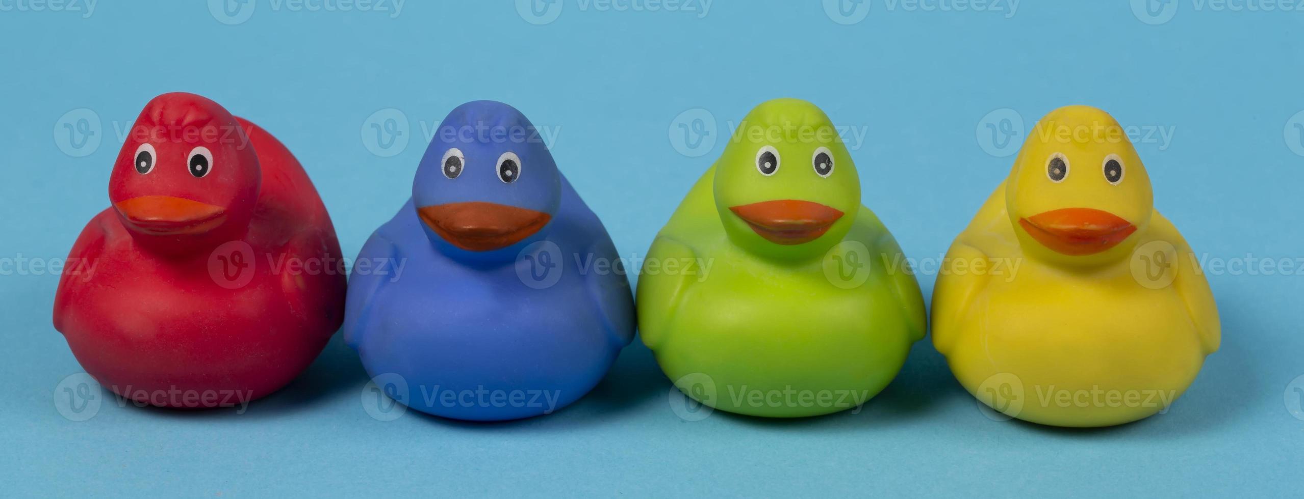 Multi-colored rubber ducks on a blue background. photo