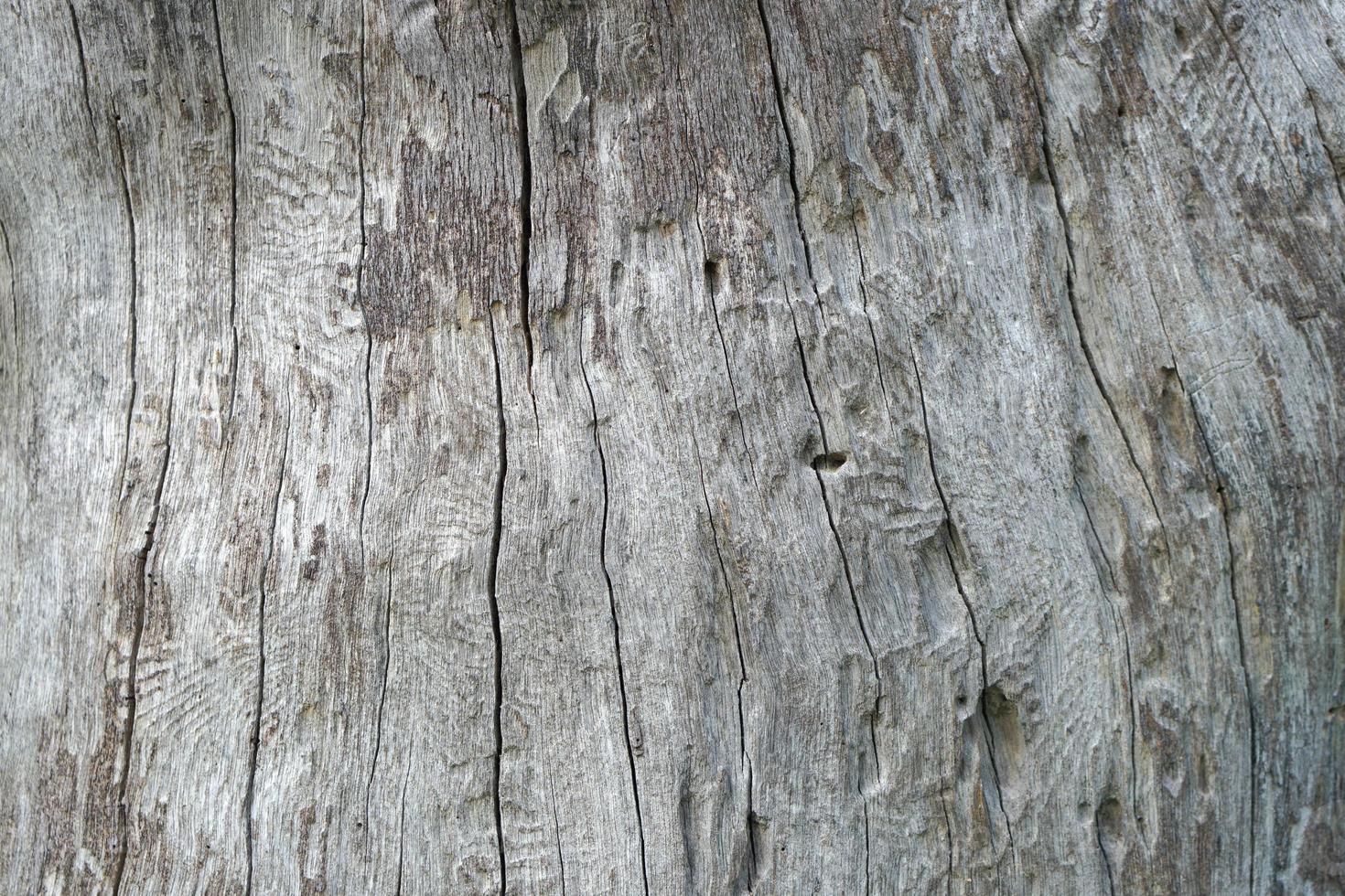 fondo de madera podrida modelada por grietas foto