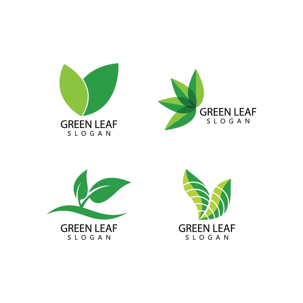 Green leaf logo vector