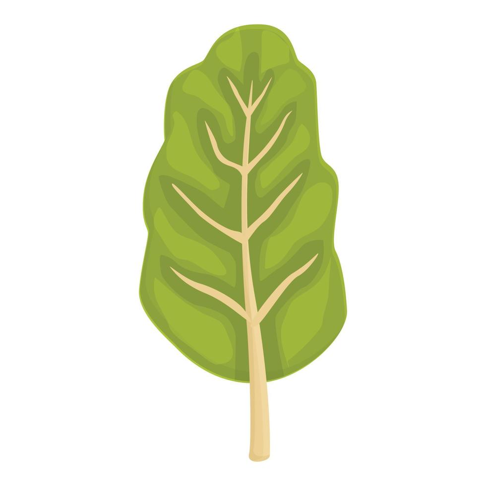 Nature chard icon cartoon vector. Green plant vector