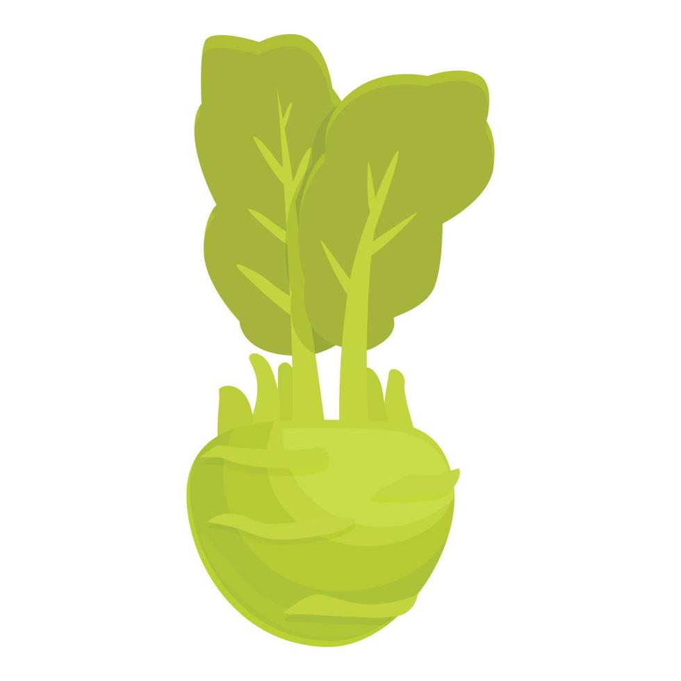 Fresh kohlrabi icon cartoon vector. Healthy vegetable vector