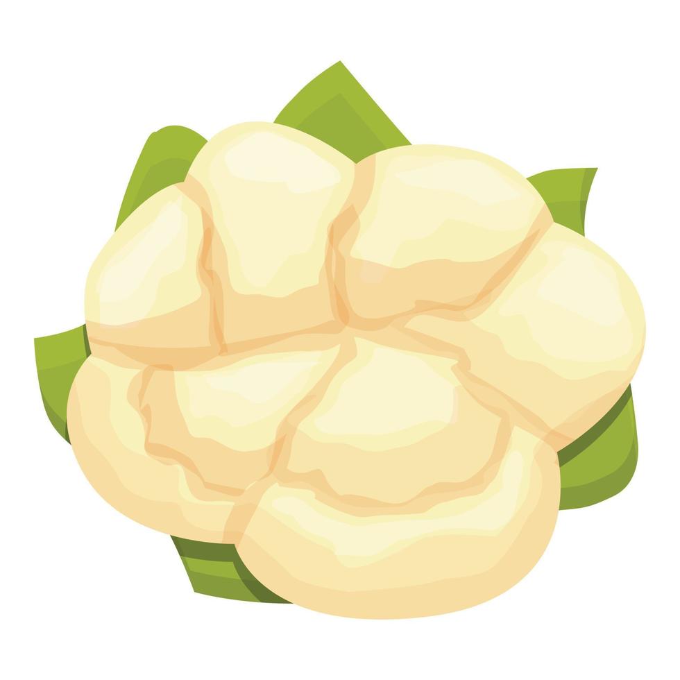 Brocoli cauliflower icon cartoon vector. Cabbage food vector