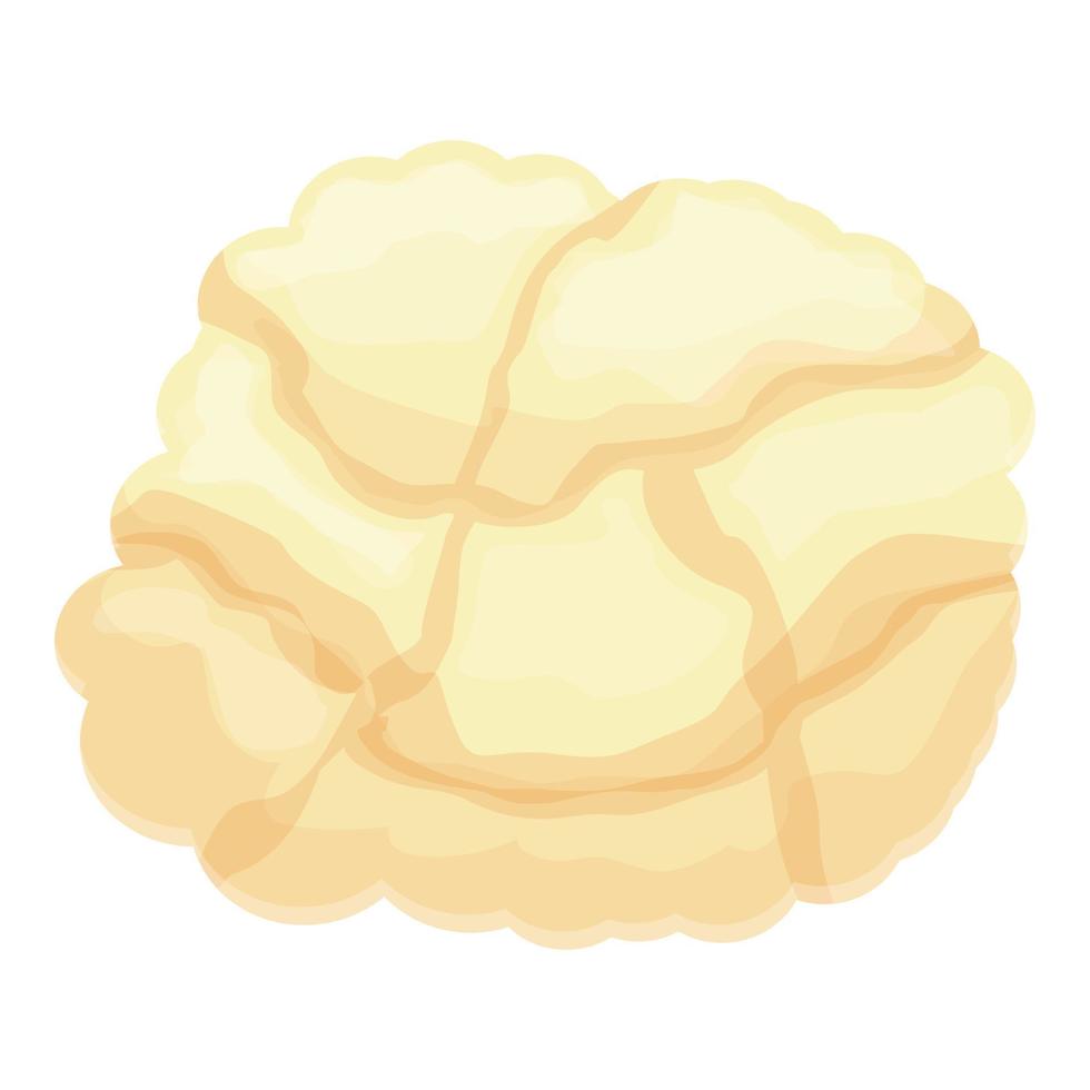 vector de dibujos animados de icono de coliflor vegetal. comida de repollo