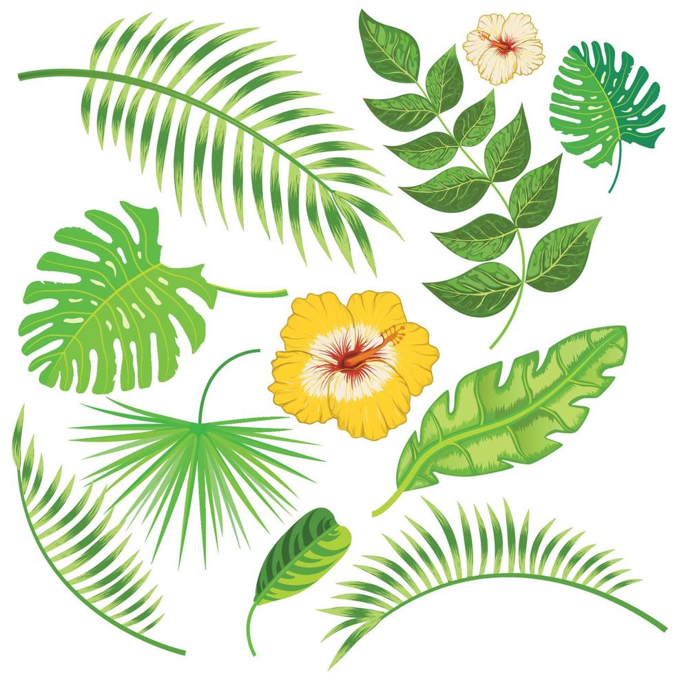 Tropical leaves and flowers vector