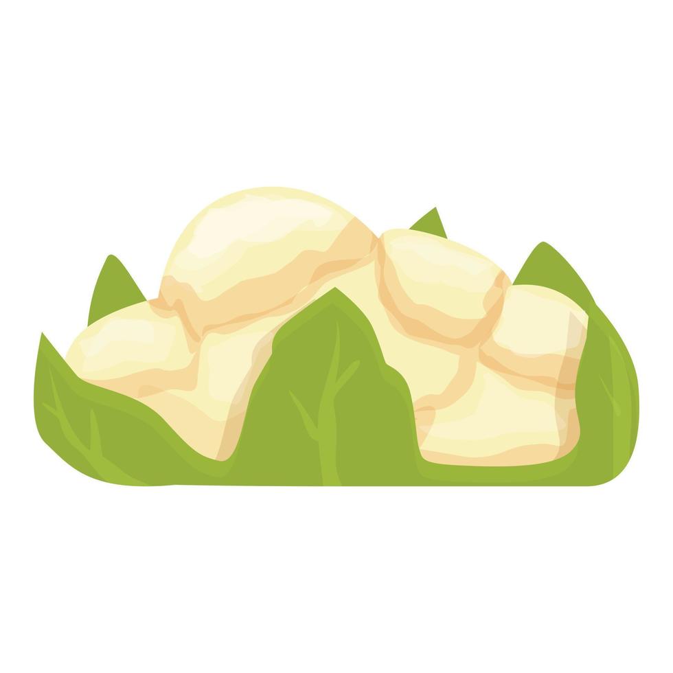 vector de dibujos animados de icono de coliflor de brócoli. comida de repollo