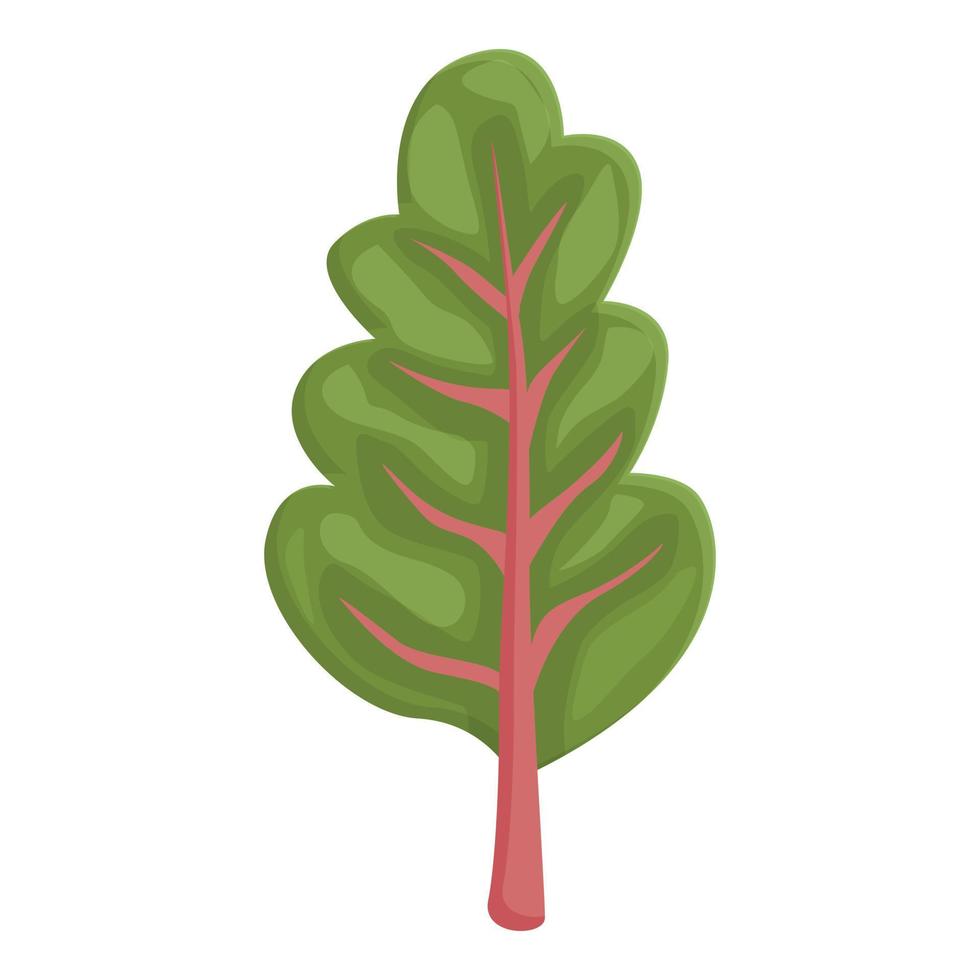 vector de dibujos animados de icono de ensalada de acelga. planta verde