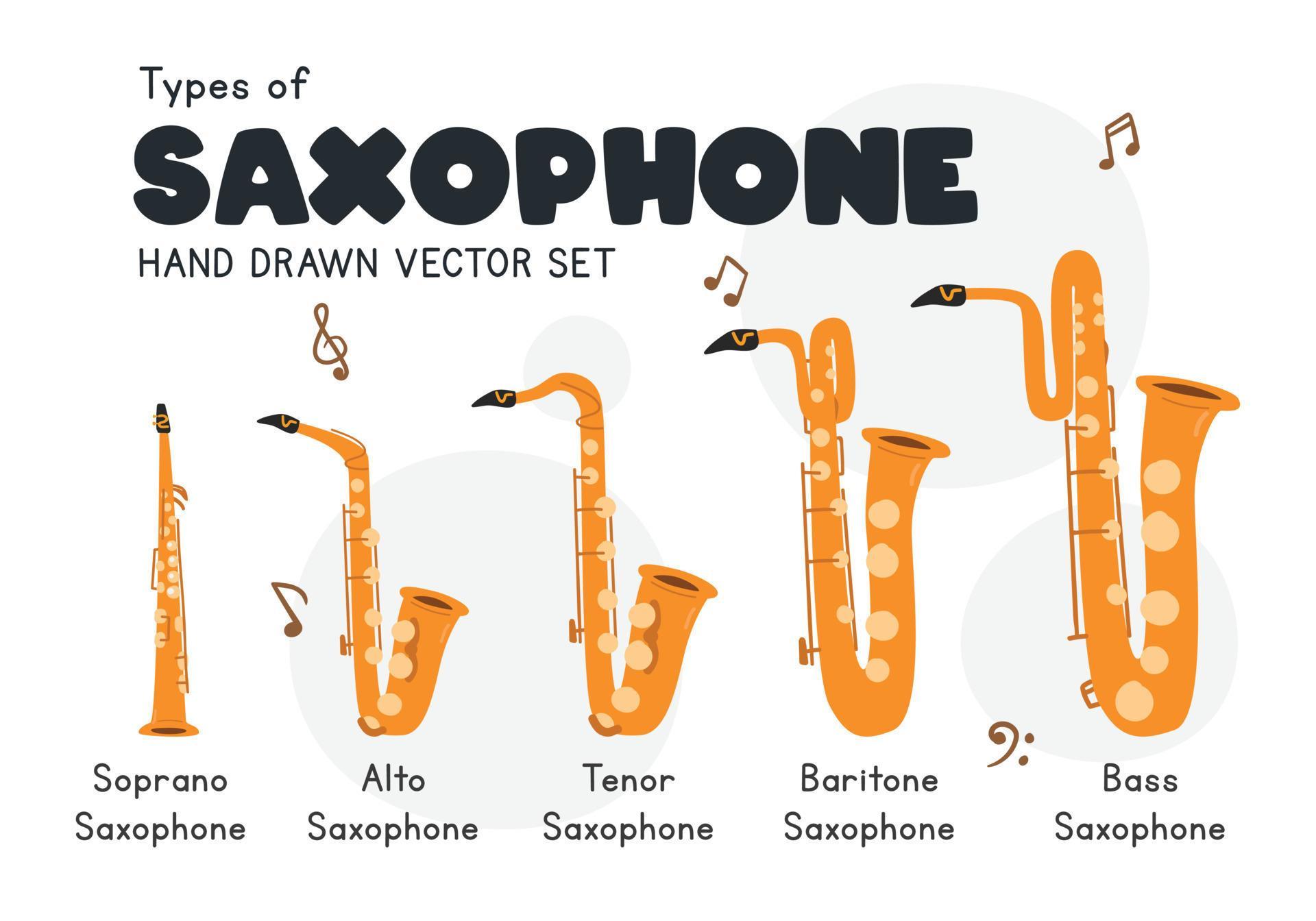 Types of saxophone clipart cartoon style. Simple cute soprano, alto