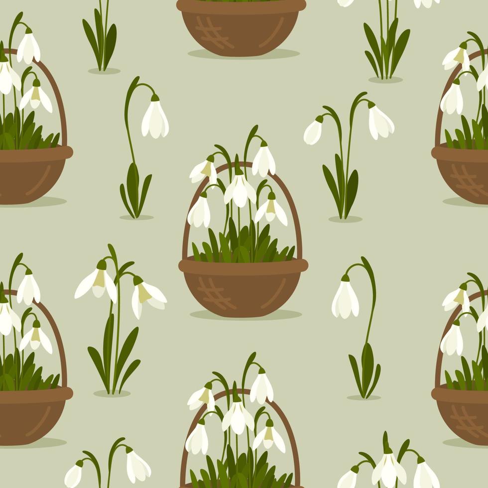 Seamless pattern Snowdrops flower on spring green background. Spring flowers in a basket. Print for your design. Vector Illustration.