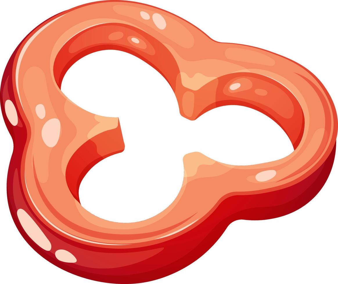 Sliced piece of cartoon red pepper on transparent background. Vegetable Collection vector
