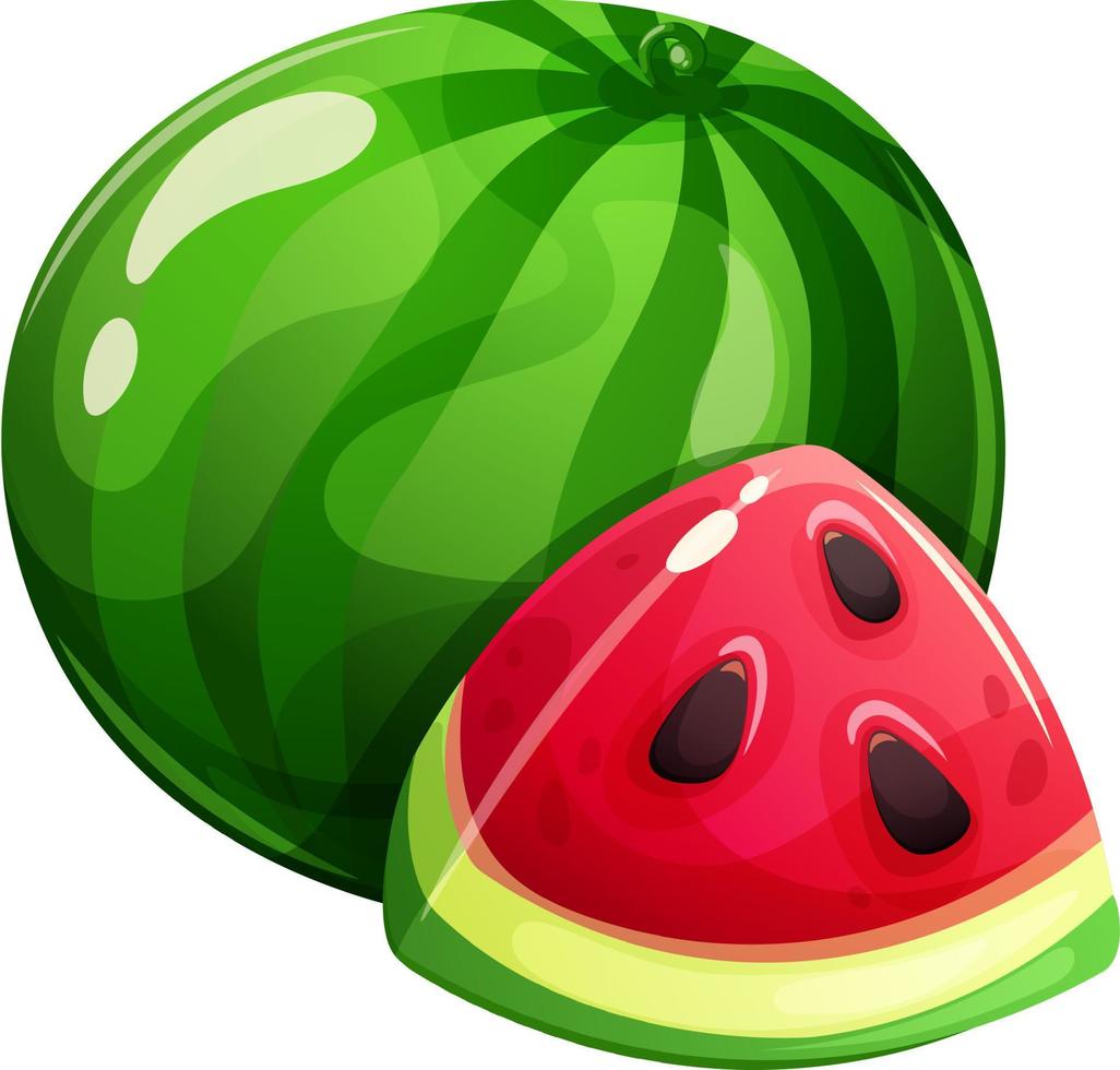 Juicy cartoon whole watermelon and slice on transparent background. Summer Fruit Collection vector