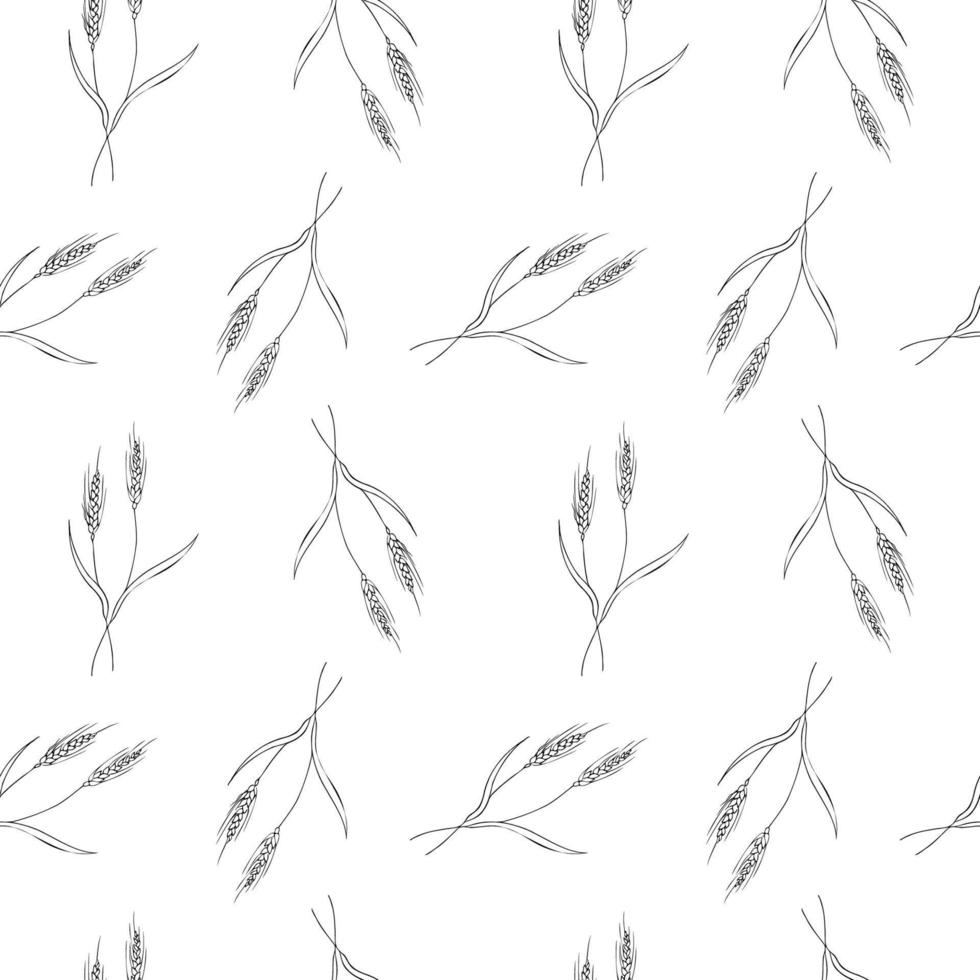 Cute seamless repeating pattern with ears of wheat on a white background. Floral ornament with an ear of wheat. Hand drawn. Delicate pattern, minimalist style, sketch vector