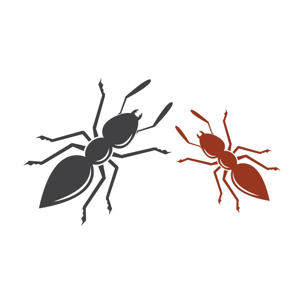 Ant vector illustration design