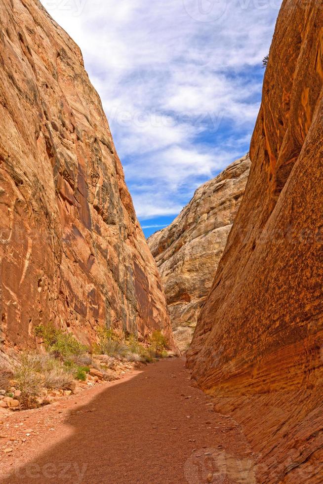 Hidden Canyon Deep in the Desert photo