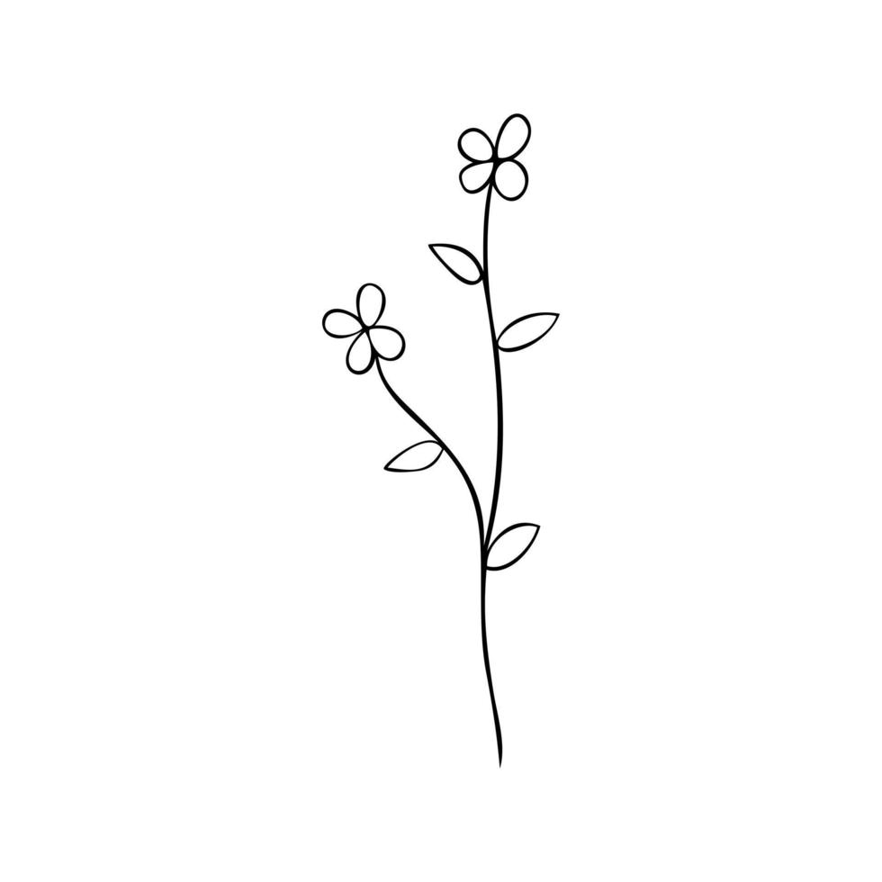 Black line doodle Two Flowers and Leaves on white background. Vector illustration about nature.