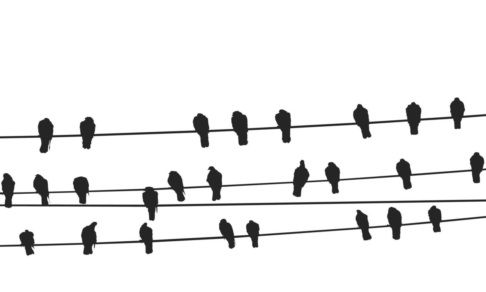 Birds On A Wire Free Vector Free Vector