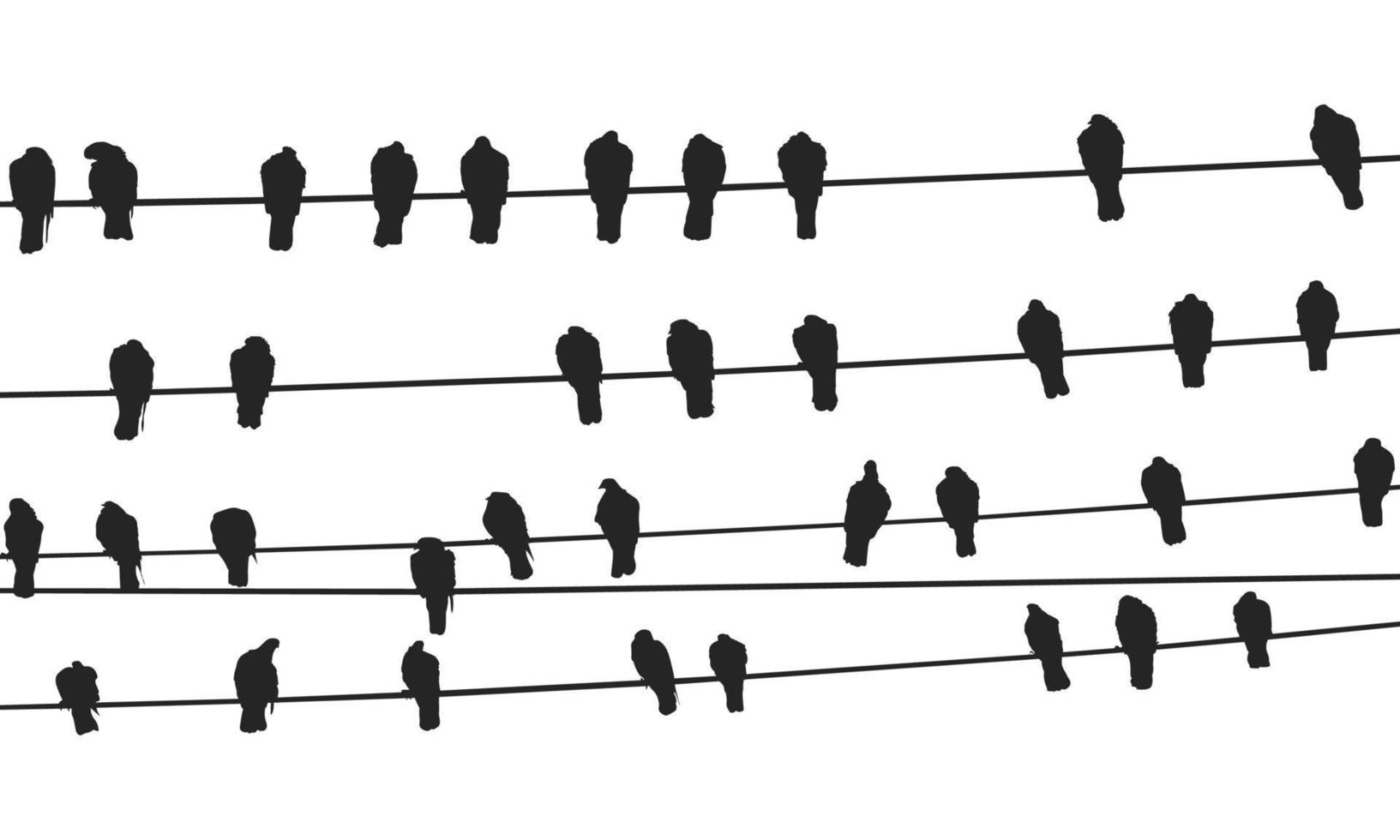 Birds On A Wire Free Vector Free Vector