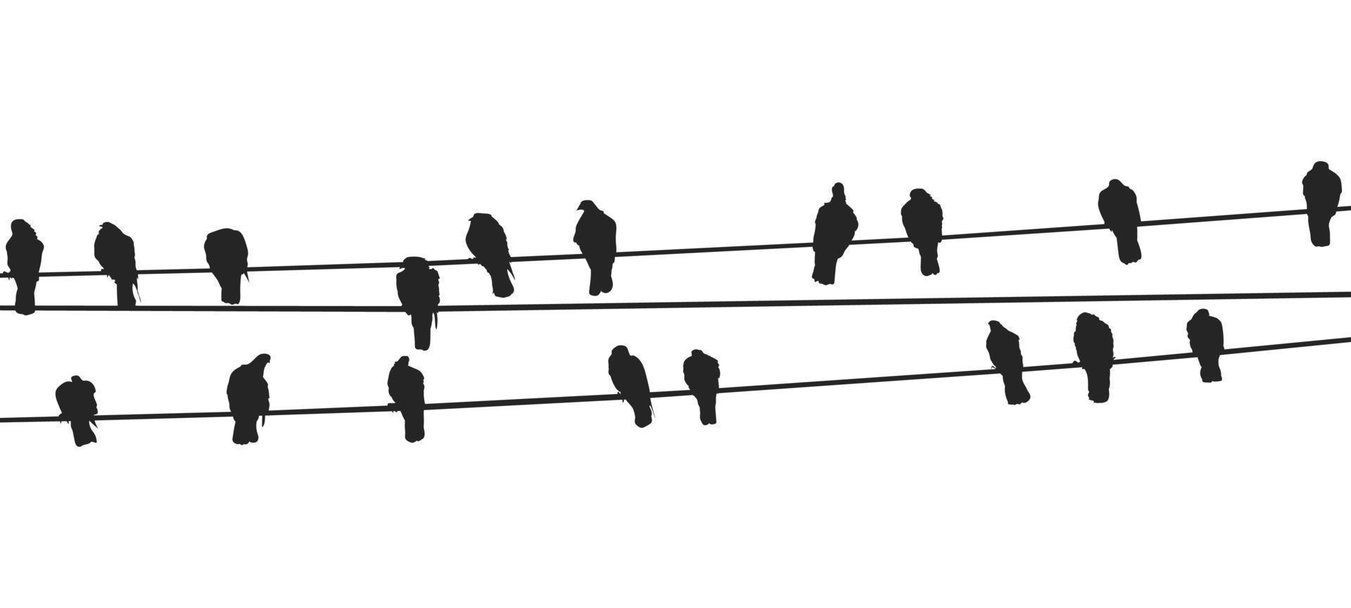 Birds On A Wire Free Vector Free Vector