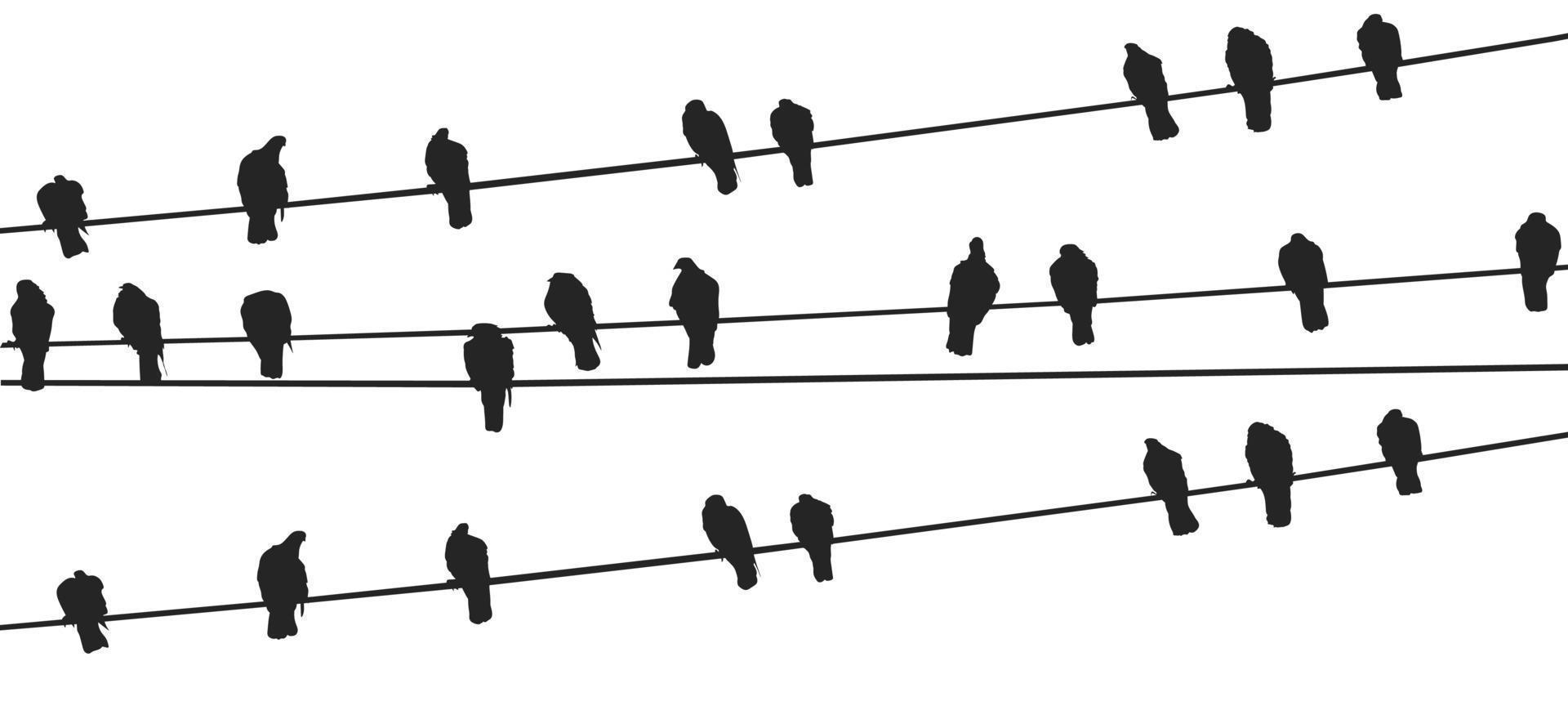 pájaros en un vector libre de alambre vector gratis