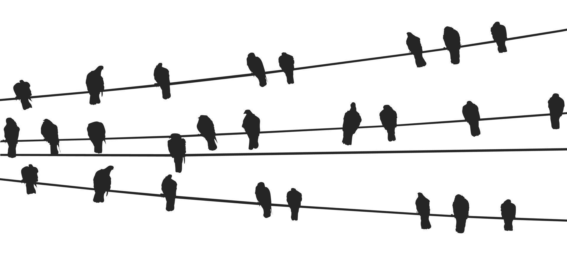 pájaros en un vector libre de alambre vector gratis
