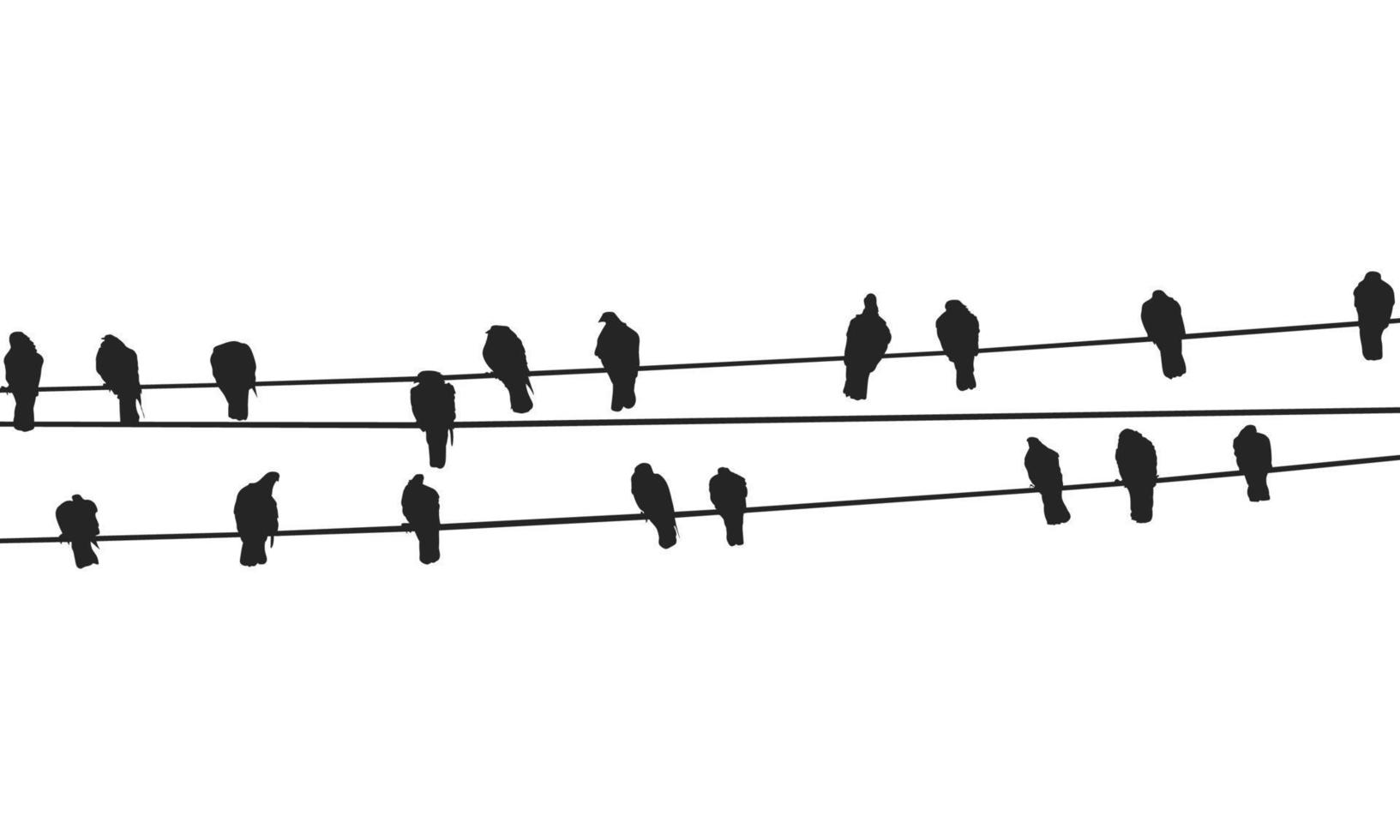 Birds On A Wire Free Vector Free Vector