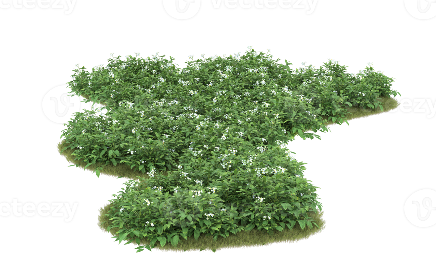 Realistic foliage isolated on transparent background. 3d rendering - illustration png