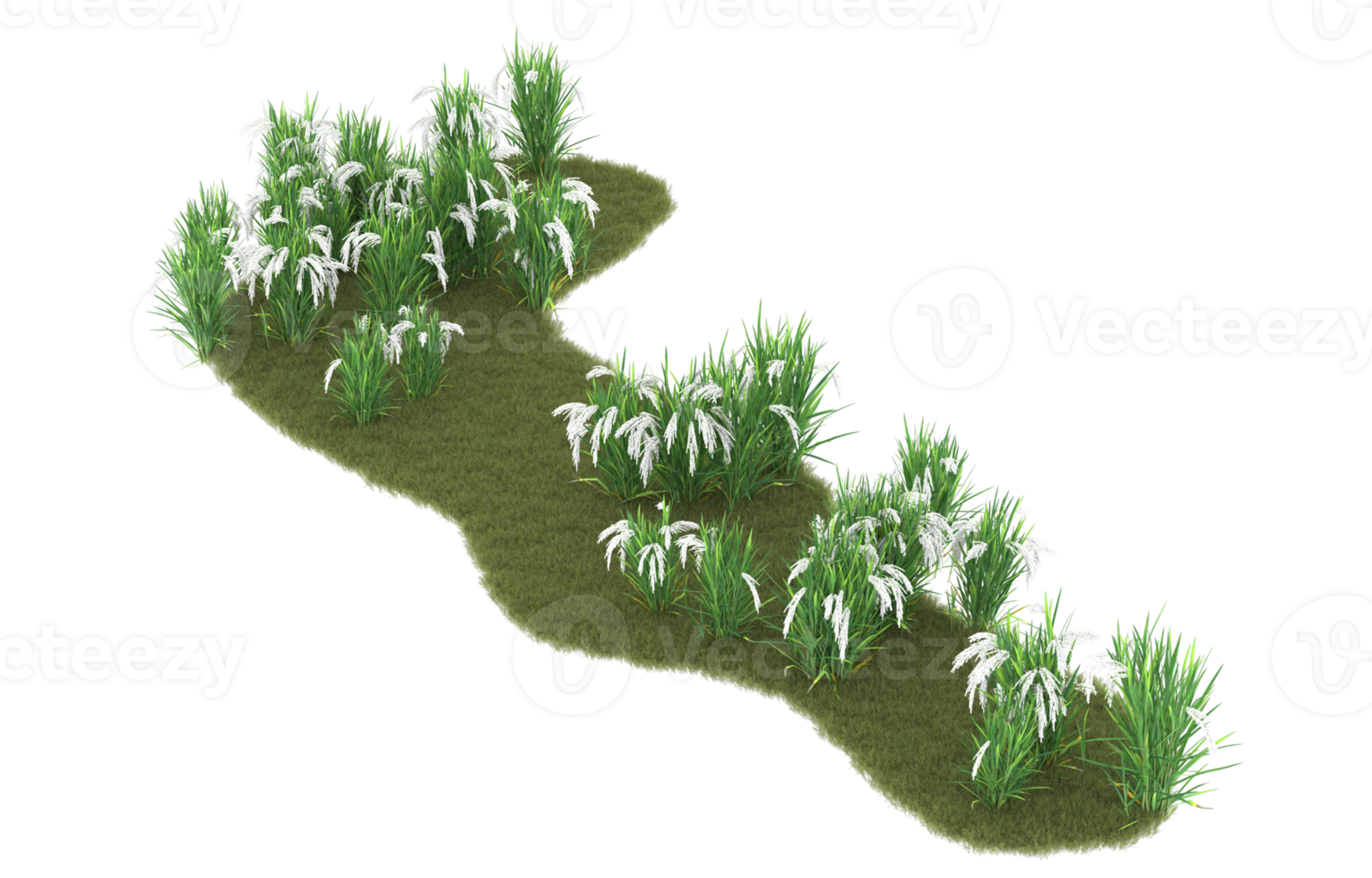 Realistic foliage isolated on transparent background. 3d rendering - illustration png
