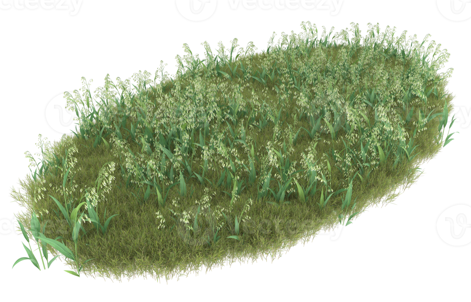 Realistic foliage isolated on transparent background. 3d rendering - illustration png