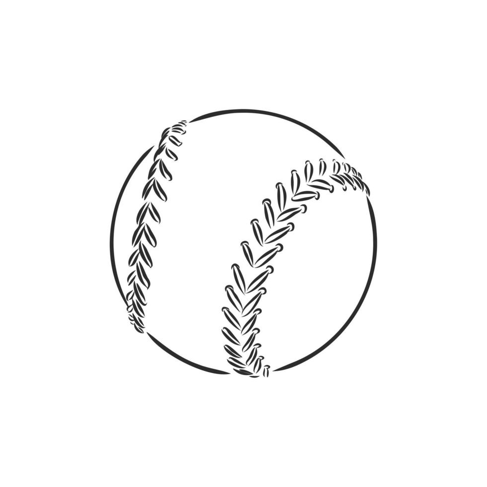 sports ball vector sketch