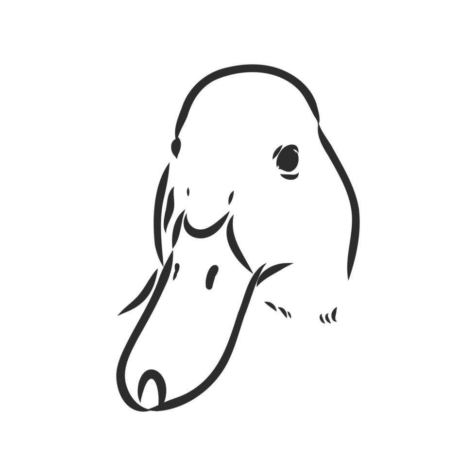 duck vector sketch