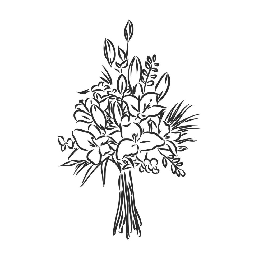 flowers vector sketch