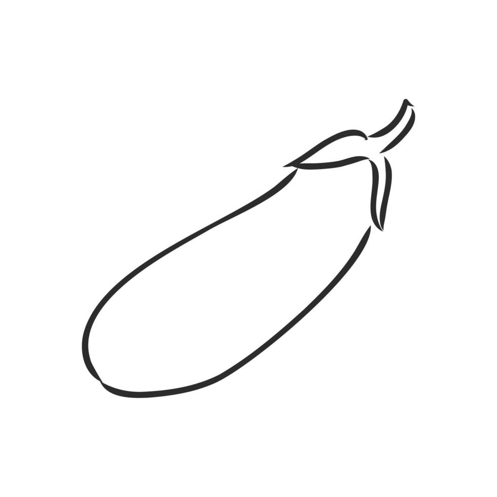eggplant vector sketch 19139406 Vector Art at Vecteezy