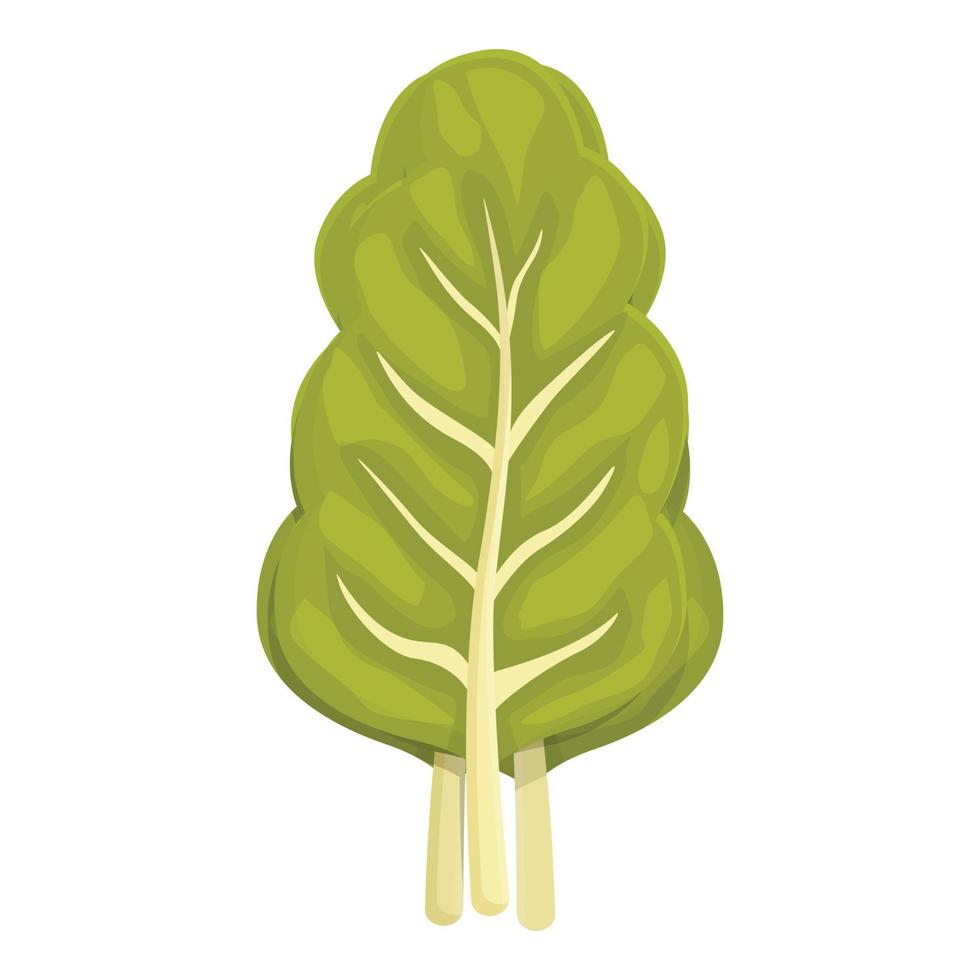vector de dibujos animados de icono de acelga saludable. planta verde