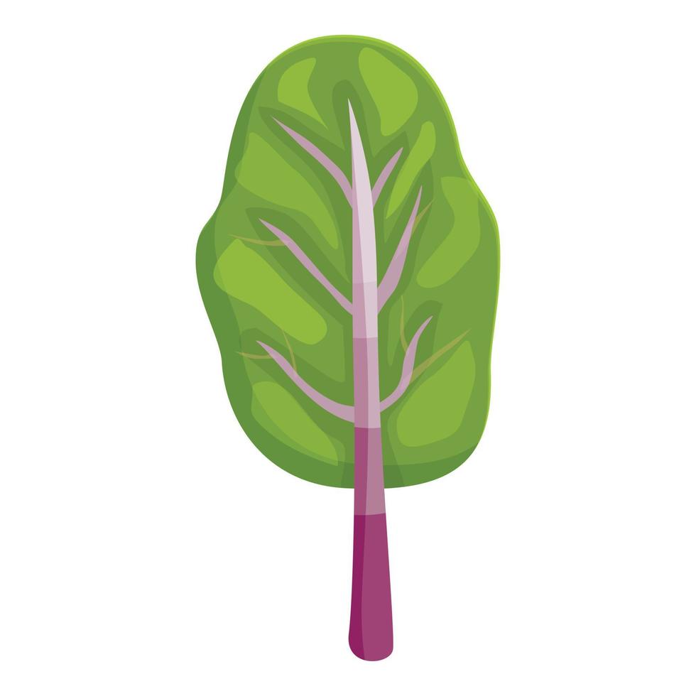 vector de dibujos animados de icono de acelga de vitamina. planta verde